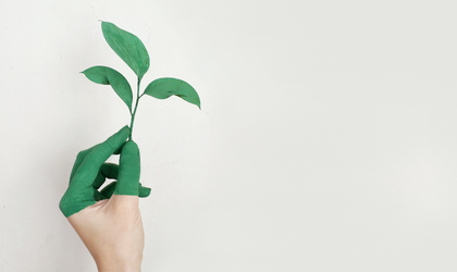 New hotel clients look to mission : net zero to strengthen ESG commitments